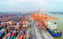 Sau 4 ngày, TPHCM thu hơn 11,96 tỷ đồng phí hạ tầng cảng biển