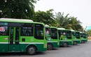 TPHCM thay mới gần 240 xe buýt