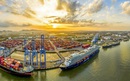 Hệ sinh thái công nghiệp gắn với cảng biển giúp TPHCM vươn tầm khu vực