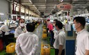 Công ty PouYuen Việt Nam bị đình chỉ hoạt động trong 2 ngày 