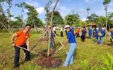 Kiều bào TPHCM trồng cây dịp kỷ niệm 135 năm ngày sinh Hồ Chủ tịch