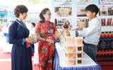 Ban hành Quy chế hoạt động của Hội đồng đánh giá, phân hạng sản phẩm OCOP