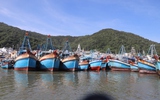 Triển khai hỗ trợ chuyển đổi nghề, giải bản tàu cá không có nhu cầu hoạt động