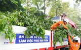 Sẵn sàng các phương án đảm bảo an toàn điện cho Thành phố trong mùa mưa bão