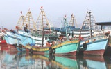 Triển khai Hệ thống truy xuất nguồn gốc thủy sản khai thác điện tử (eCDT)