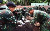 TPHCM nghiên cứu bảo tồn, xếp hạng di tích tại Công viên Lê Thị Riêng