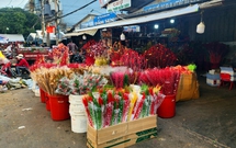 TPHCM: C&#225;c chợ hoa nhộn nhịp những ng&#224;y cận Tết