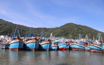 Th&#225;o gỡ vướng mắc trong đăng kiểm v&#224; cấp ph&#233;p hoạt động t&#224;u c&#225;