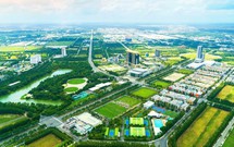 Th&#224;nh lập Ban Chỉ đạo triển khai chiến dịch l&#224;m gi&#224;u, l&#224;m sạch dữ liệu đất đai