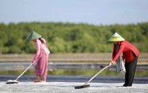 Công nhận nghề truyền thống sản xuất muối Thiềng Liềng