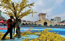 Cầu thị lắng nghe, kịp thời xử lý các ý kiến đóng góp của nhân dân trong quá trình triển khai chỉnh trang đô thị