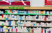 Thành phố triển khai bình ổn gần 350 mặt hàng thuốc thiết yếu