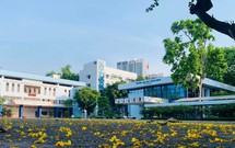 TPHCM phản hồi về chủ trương nghiên cứu di dời cơ sở Trường Đại học Bách khoa (Đại học Quốc gia TPHCM)