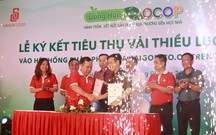 Saigon Co.op k&#253; kết ti&#234;u thụ vải thiiều Lục Ngạn tại 800 điểm b&#225;n