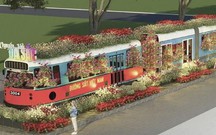 Festival Hoa lan TPHCM lần 3 – Chuyến t&#224;u đa sắc