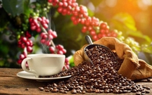 Xuất khẩu n&#244;ng sản, dệt may v&#224; đồ gỗ tăng mạnh tại thị trường Ba Lan