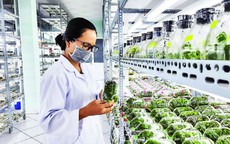 Xây dựng cơ chế khuyến khích phát triển bền vững các nguồn gene