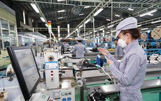 DN Đức ưu tiên hợp tác đầu tư với các DN Việt tham gia chuỗi cung ứng