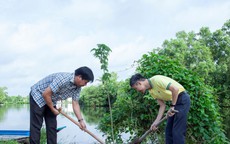 PVCFC tiếp tục chiến dịch trồng 300.000 cây xanh