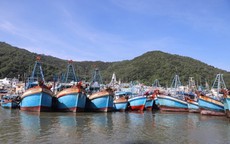 Kiểm soát đội tàu, ngăn chặn các hành vi vi phạm IUU trên biển