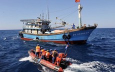 Thành phố tăng cường các giải pháp chống khai thác hải sản bất hợp pháp