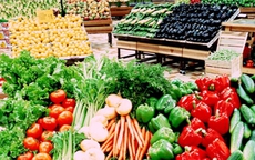 TPHCM đẩy mạnh Chương tr&#236;nh &#39;Đồng h&#224;nh c&#249;ng n&#244;ng sản sạch giai đoạn 2025 - 2030&#39;