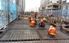 Diễn đàn VSCF 2025: Hợp tác hành động vì mục tiêu xây dựng bền vững hướng đến Net Zero 2050