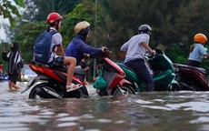 Khẩn trương triển khai c&#225;c biện ph&#225;p ứng ph&#243; b&#227;o số 15