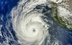 TPHCM l&#234;n phương &#225;n ứng ph&#243; với b&#227;o Kalmaegi