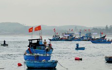 Quyết t&#226;m c&#249;ng cả nước gỡ “ thẻ v&#224;ng” EC