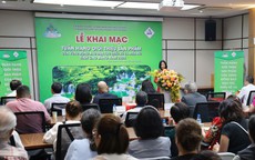 Xúc tiến thương mại các sản phẩm đặc sản tỉnh Cao Bằng tại thị trường TPHCM