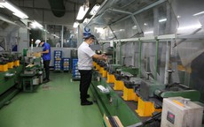 Diện t&#237;ch c&#225;c khu c&#244;ng nghệ cao ở TPHCM khoảng 2.600 ha