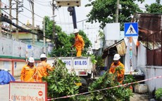 EVNHCMC ban hành Công điện chủ động ứng phó bão WIPHA