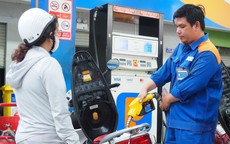 Thí điểm xăng sinh học E10 tại 36 cửa hàng trên địa bàn TPHCM