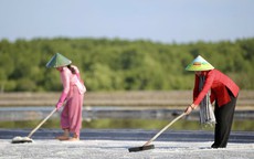 Công nhận nghề truyền thống sản xuất muối Thiềng Liềng