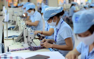 Tăng cường rà soát hỗ trợ kịp thời người lao động và doanh nghiệp