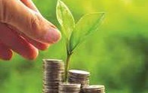 Chủ động hợp tác thúc đẩy thị trường tài chính xanh hỗ trợ DN phát triển bền vững