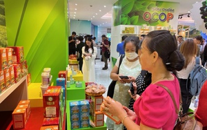 Đẩy mạnh x&#250;c tiến thương mại cho c&#225;c sản phẩm OCOP TPHCM dịp cuối năm