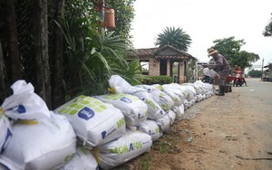 Triển khai nhiều giải ph&#225;p chống ngập &#250;ng, sạt lở tại b&#225;n đảo Thanh Đa