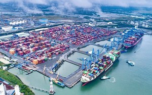 TPHCM xúc tiến lập khu thương mại tự do Cái Mép Hạ