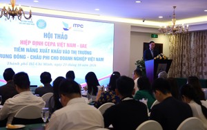 CEPA mở thêm cơ hội xuất khẩu sang Trung Đông, châu Phi