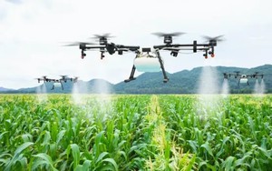 Nông nghiệp thông minh: Xu thế tất yếu để nâng cao năng suất và năng lực cạnh tranh