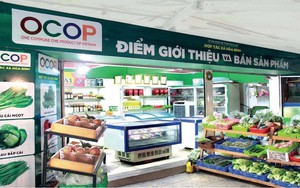 Rà soát, đẩy mạnh công tác phát triển, nâng cao chất lượng sản phẩm OCOP