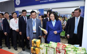 Tăng cường kết nối doanh nghiệp Việt với chuỗi cung ứng quốc tế
