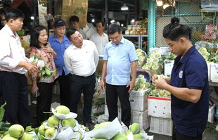 L&#227;nh đạo Th&#224;nh phố kiểm tra c&#244;ng t&#225;c chuẩn bị h&#224;ng h&#243;a phục vụ Tết tại c&#225;c chợ đầu mối