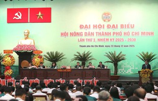 Hướng tới một nền nông nghiệp thịnh vượng, nông thôn hiện đại, môi trường bền vững