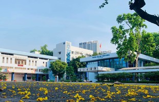 TPHCM phản hồi về chủ trương nghiên cứu di dời cơ sở Trường Đại học Bách khoa (Đại học Quốc gia TPHCM)