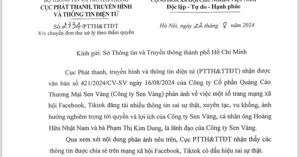 tphcm.chinhphu.vn
